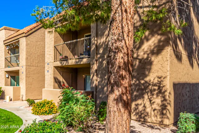 front view of a house with a tree