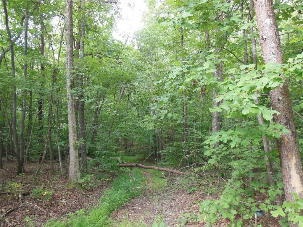 0 Dillard Road Madison, NC 27025 - Photo 2 of 18