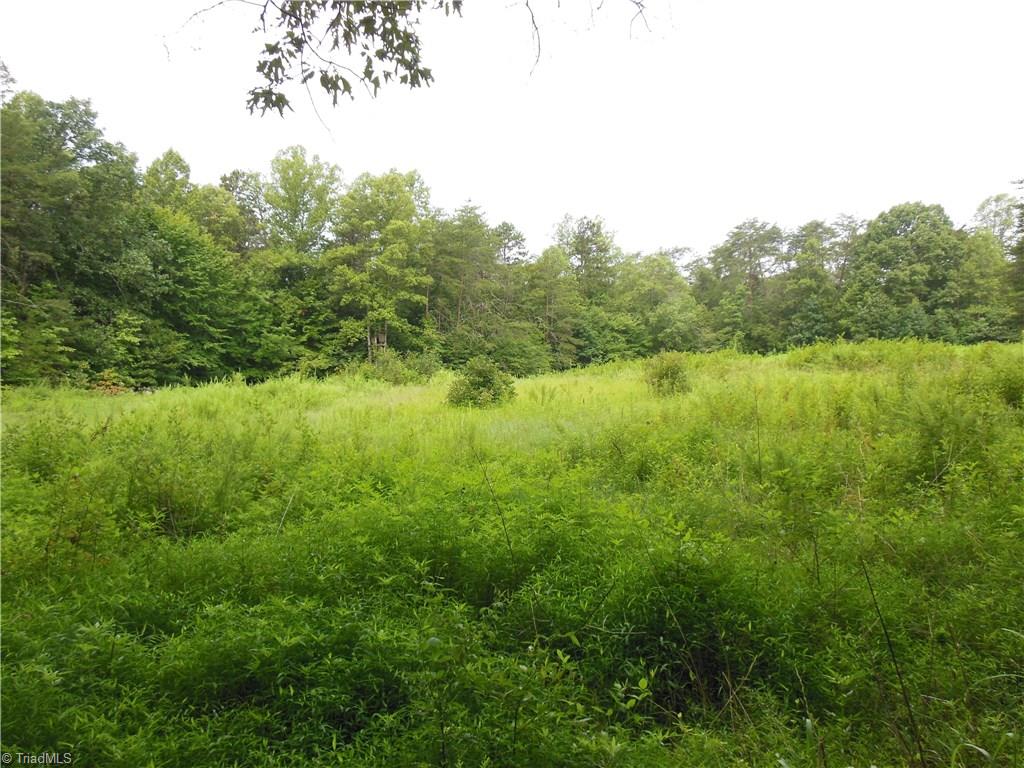 0 Dillard Road Madison, NC 27025 - Photo 11 of 18