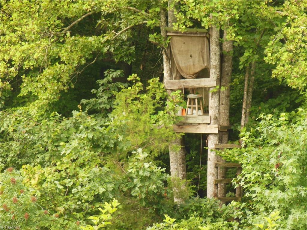 0 Dillard Road Madison, NC 27025 - Photo 12 of 18
