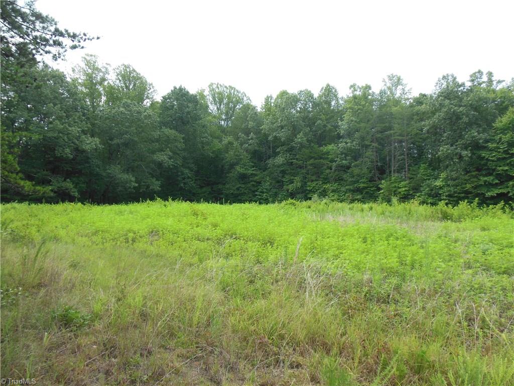 0 Dillard Road Madison, NC 27025 - Photo 13 of 18