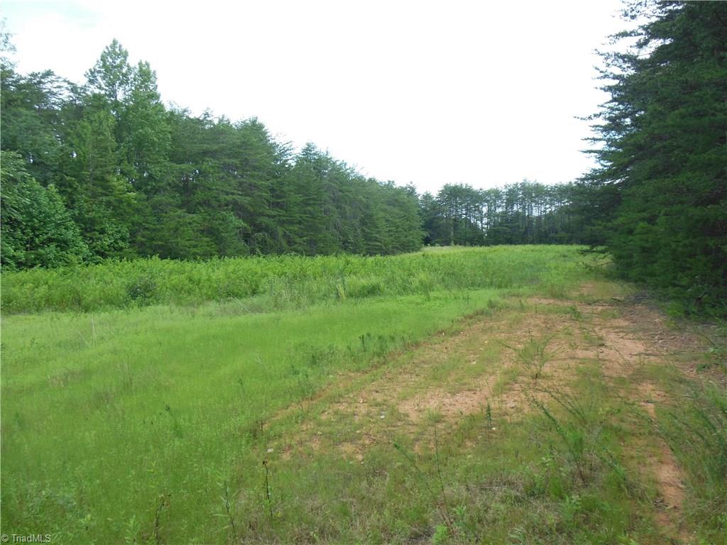 0 Dillard Road Madison, NC 27025 - Photo 14 of 18