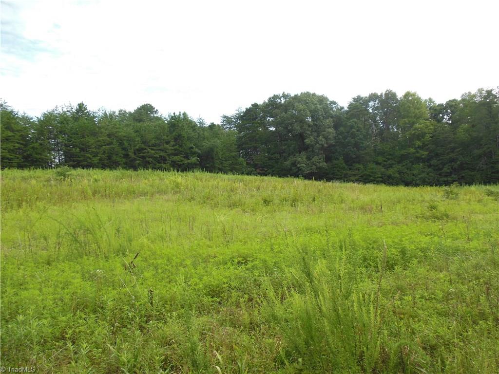 0 Dillard Road Madison, NC 27025 - Photo 15 of 18