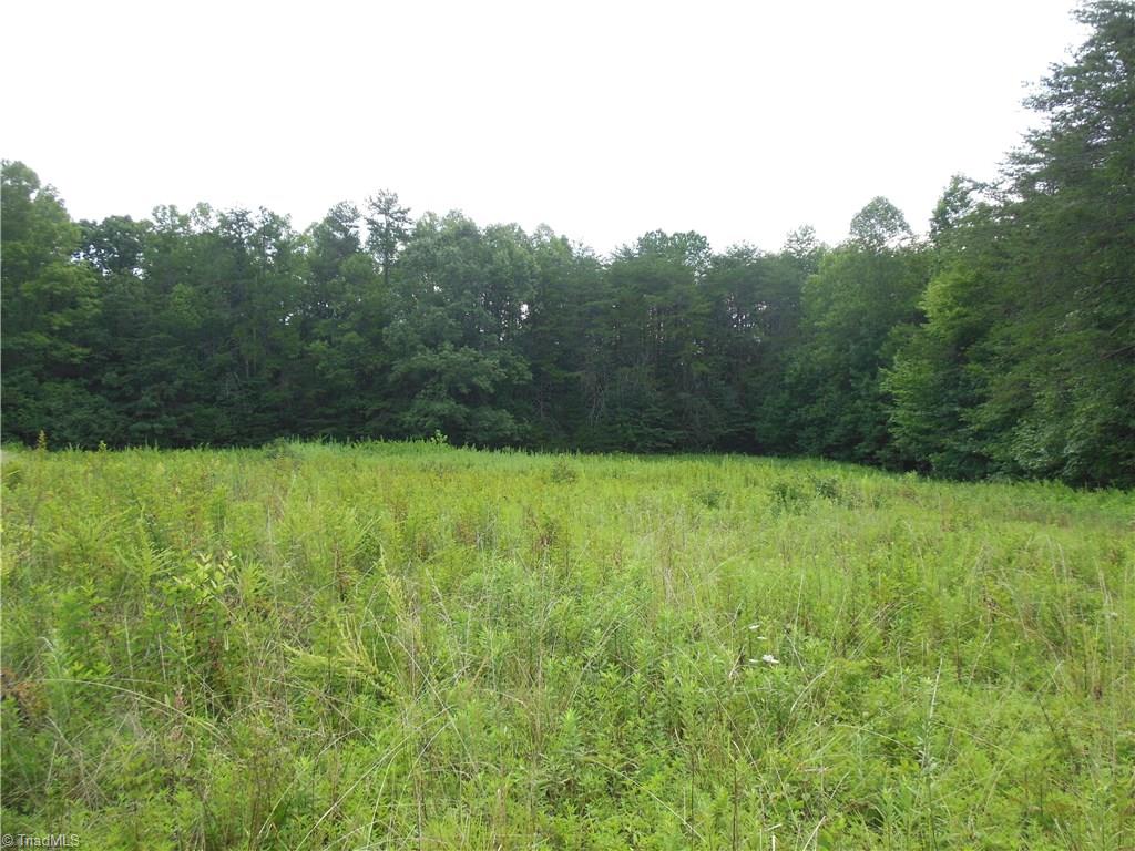 0 Dillard Road Madison, NC 27025 - Photo 16 of 18