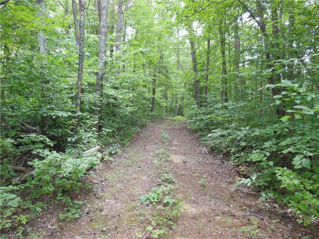 0 Dillard Road Madison, NC 27025 - Photo 17 of 18
