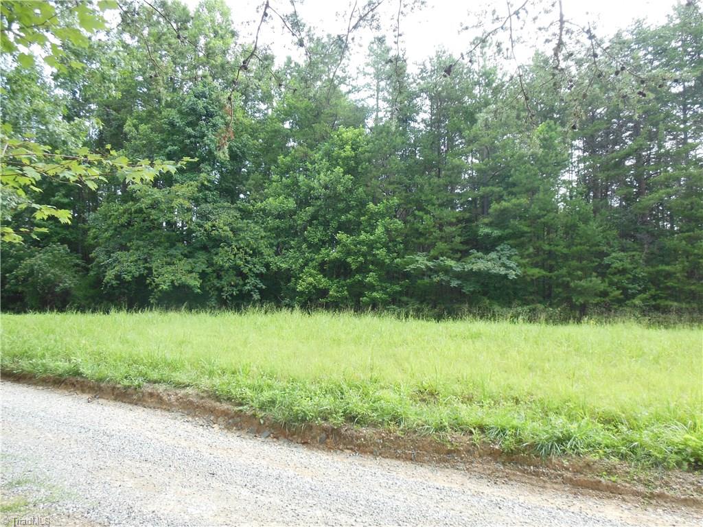 0 Dillard Road Madison, NC 27025 - Photo 3 of 18