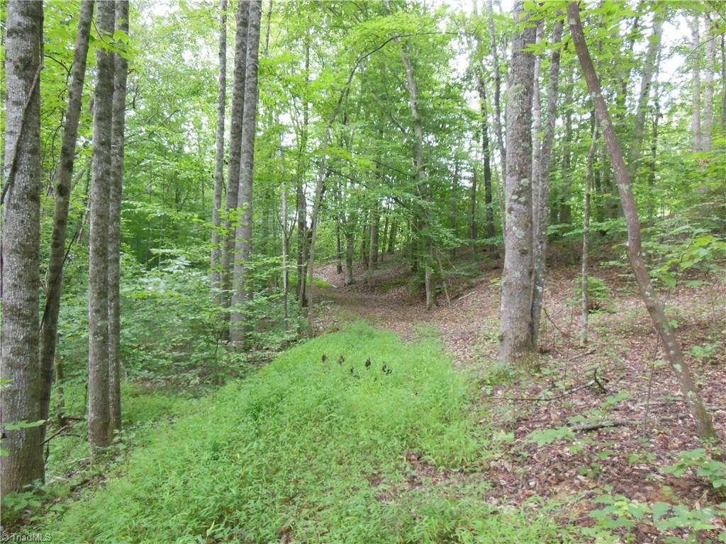 0 Dillard Road Madison, NC 27025 - Photo 4 of 18