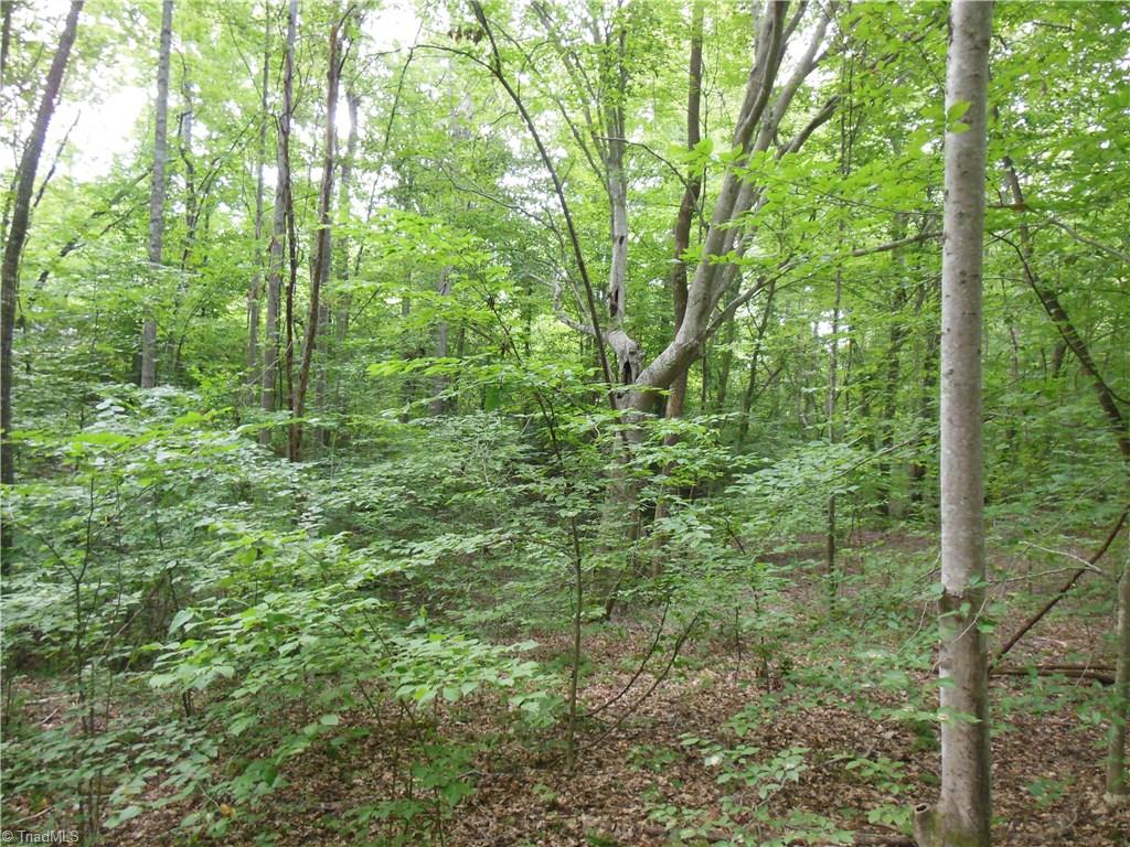 0 Dillard Road Madison, NC 27025 - Photo 5 of 18