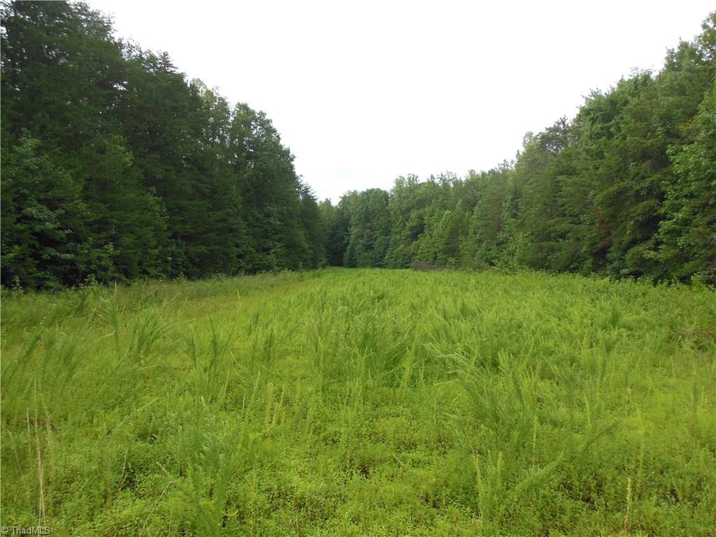 0 Dillard Road Madison, NC 27025 - Photo 6 of 18