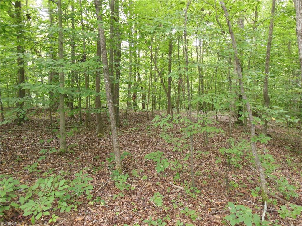 0 Dillard Road Madison, NC 27025 - Photo 7 of 18