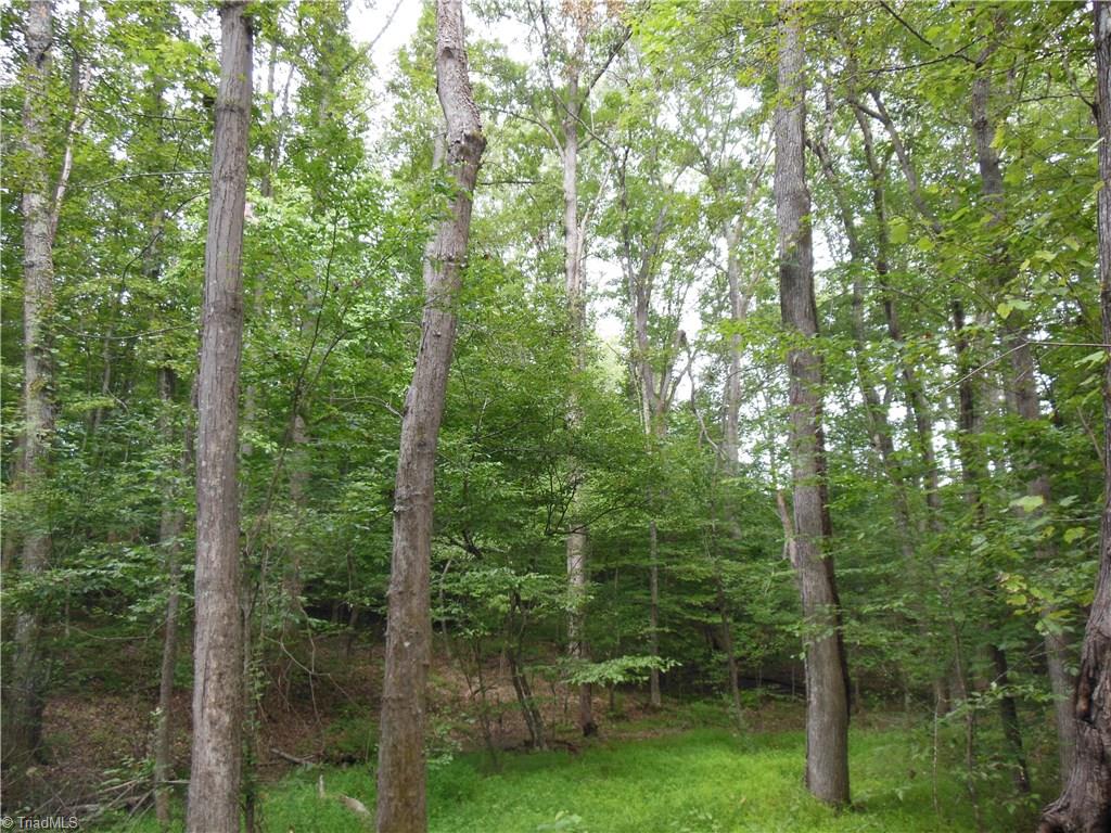 0 Dillard Road Madison, NC 27025 - Photo 10 of 18