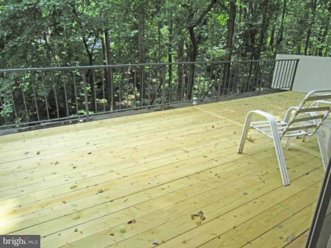 11499 Waterview Cluster Reston, VA 20190 - Photo 21 of 26 Deck Off Third Floor MBR