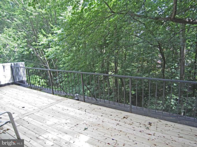 11499 Waterview Cluster Reston, VA 20190 - Photo 22 of 26 View From MBR Deck