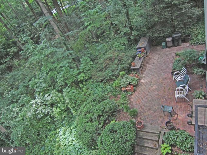 11499 Waterview Cluster Reston, VA 20190 - Photo 23 of 26 Side Patio Wooded View