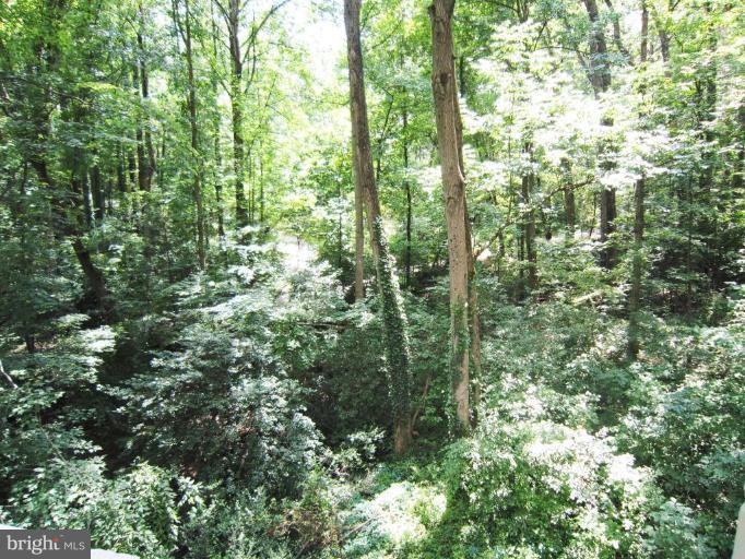 11499 Waterview Cluster Reston, VA 20190 - Photo 25 of 26 Wooded View / Acreage