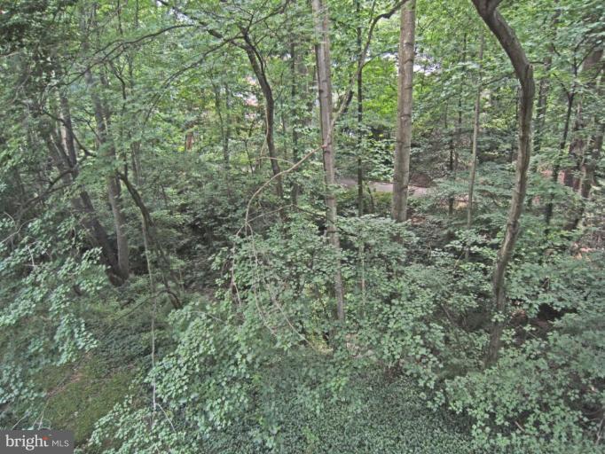 11499 Waterview Cluster Reston, VA 20190 - Photo 26 of 26 Wooded View / Acreage 2