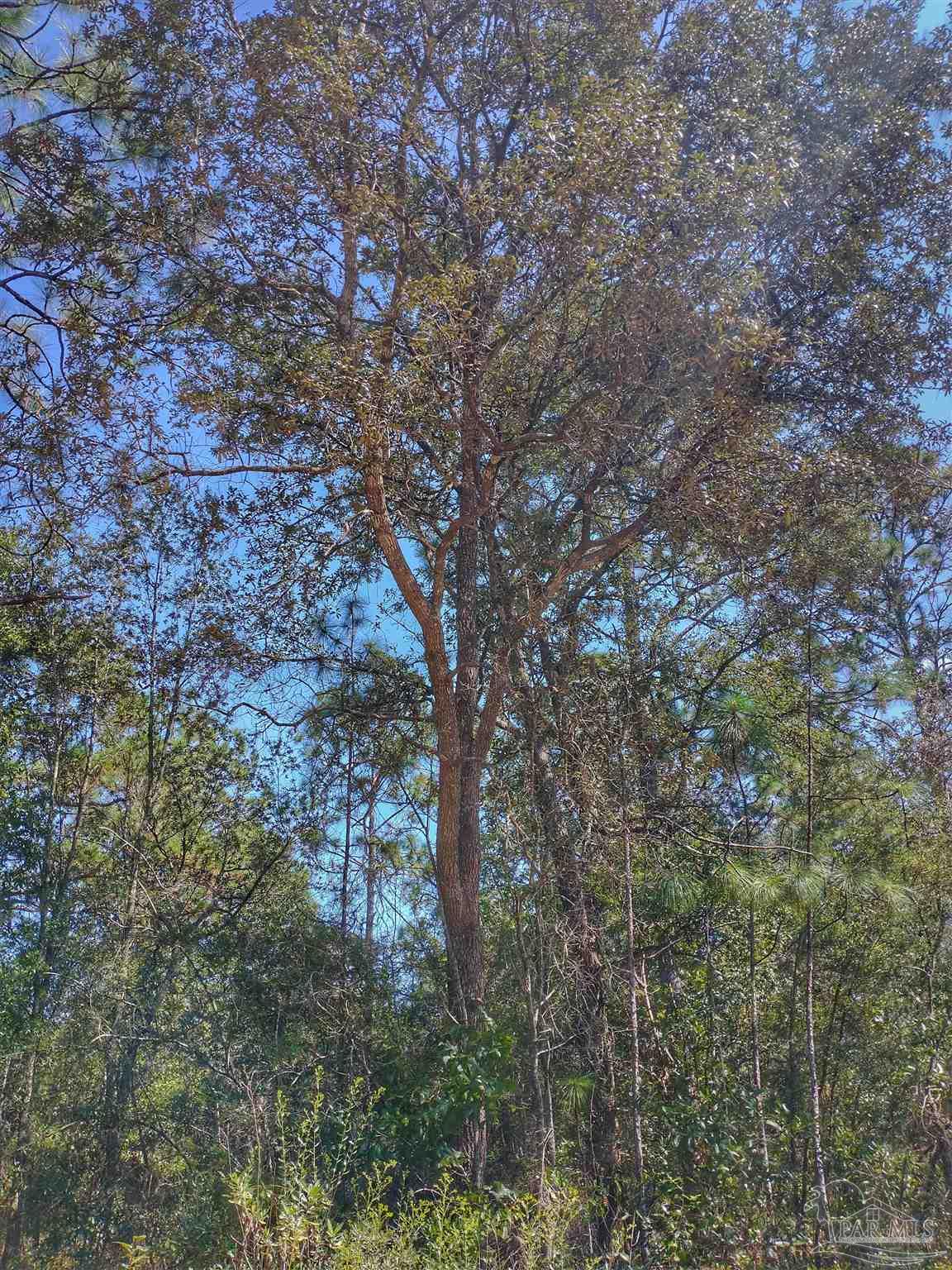 -fleet Wing Rd Fleet Wing Road Holt, FL 32564 - Photo 2 of 9 Gallery Image 2