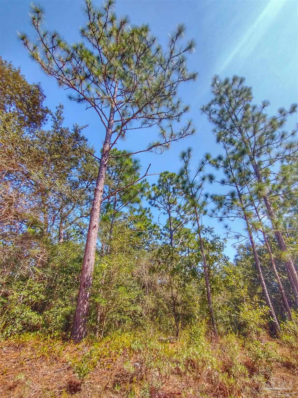 -fleet Wing Rd Fleet Wing Road Holt, FL 32564 - Photo 3 of 9 Gallery Image 3