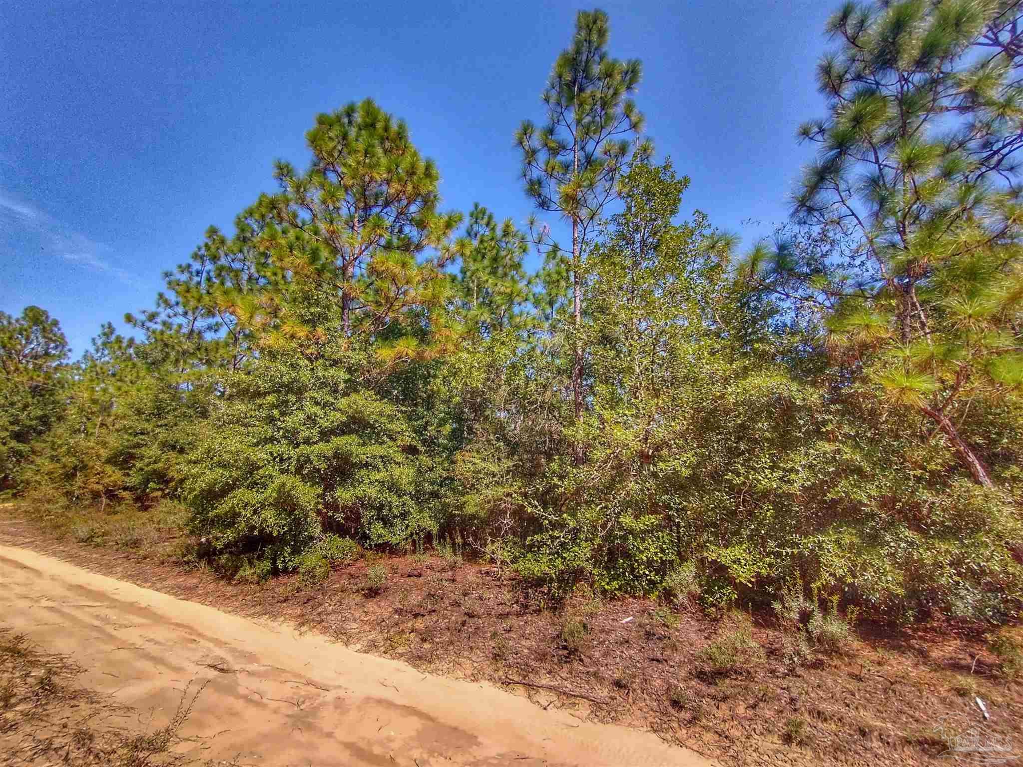-fleet Wing Rd Fleet Wing Road Holt, FL 32564 - Photo 4 of 9 Gallery Image 4