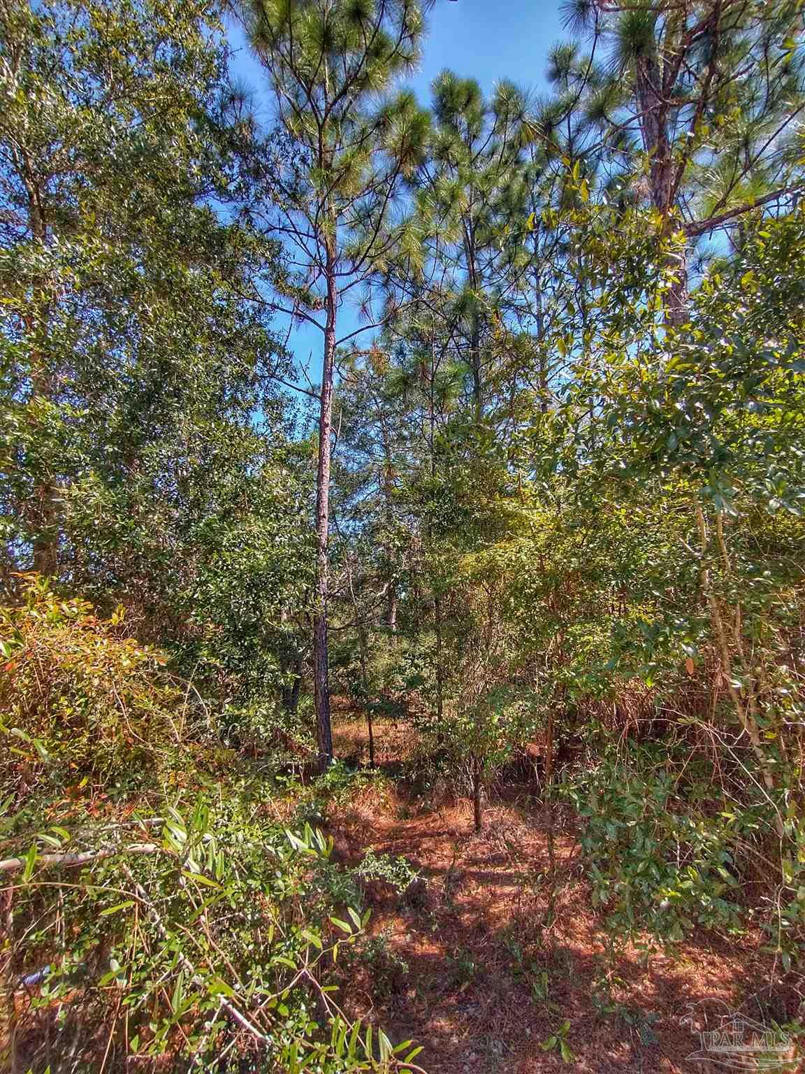 -fleet Wing Rd Fleet Wing Road Holt, FL 32564 - Photo 6 of 9 Gallery Image 6