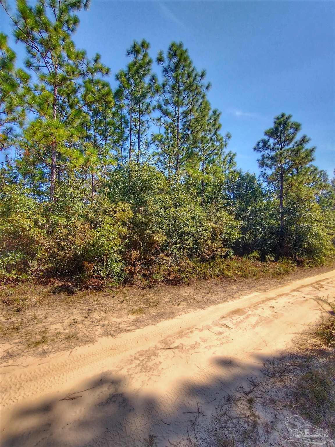 -fleet Wing Rd Fleet Wing Road Holt, FL 32564 - Photo 7 of 9 Gallery Image 7