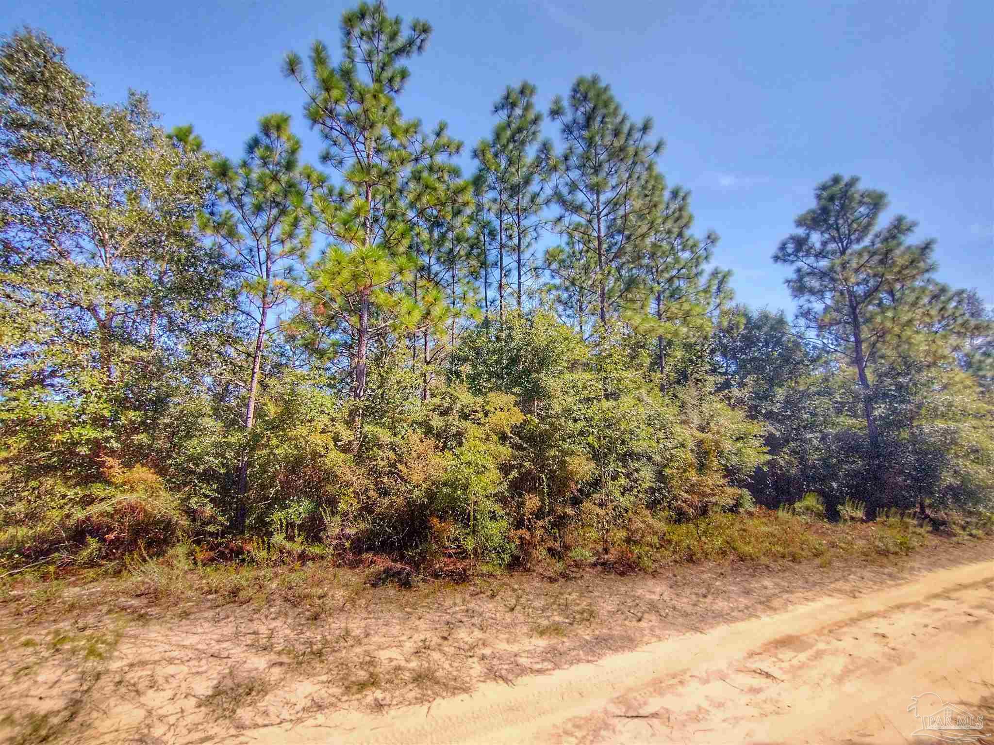 -fleet Wing Rd Fleet Wing Road Holt, FL 32564 - Photo 8 of 9 Gallery Image 8