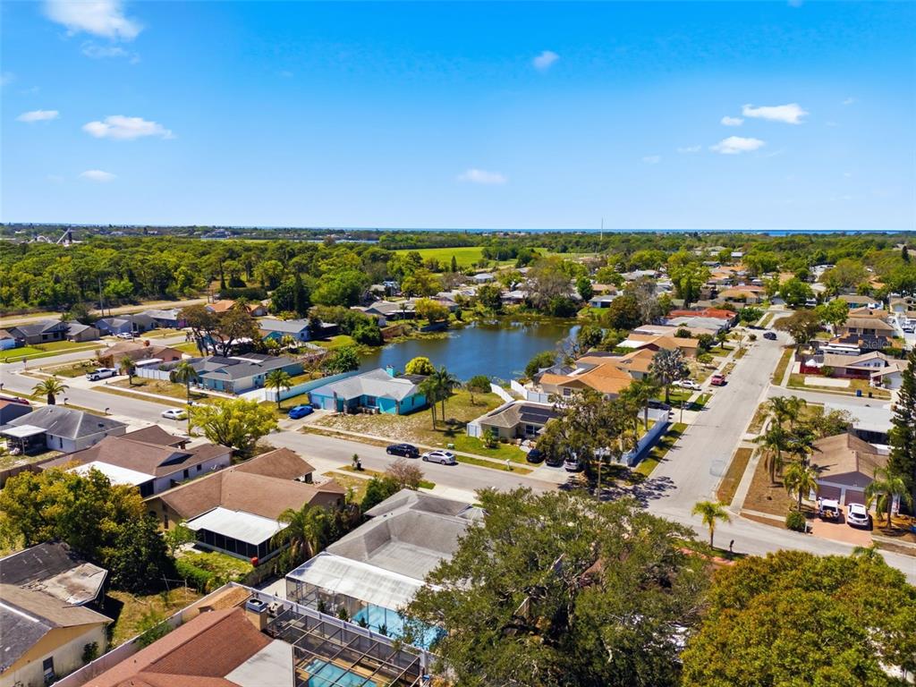 1102 Springtime Drive Holiday, FL 34691 - Photo 42 of 44