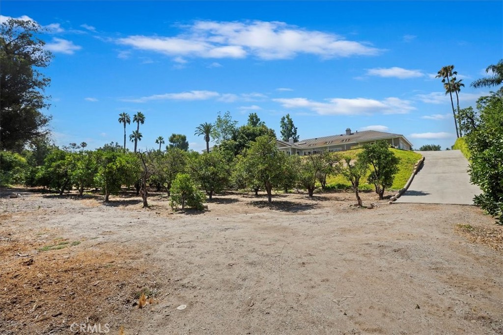 1507 Weston Way Riverside, CA 92506 - Photo 55 of 55 a view of a road with a houses in the background