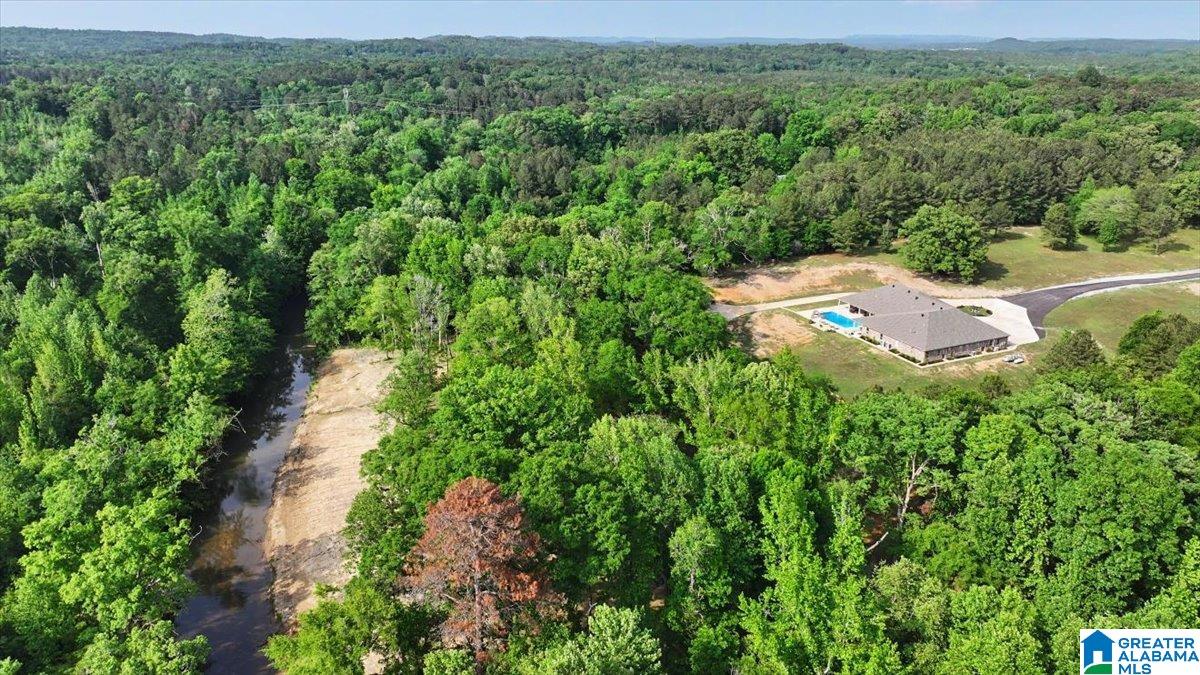 4550 Newbold Road Bessemer, AL 35022 - Photo 17 of 99