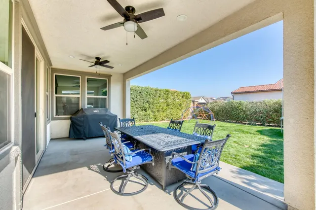 a view of a backyard with couches plants and large trees