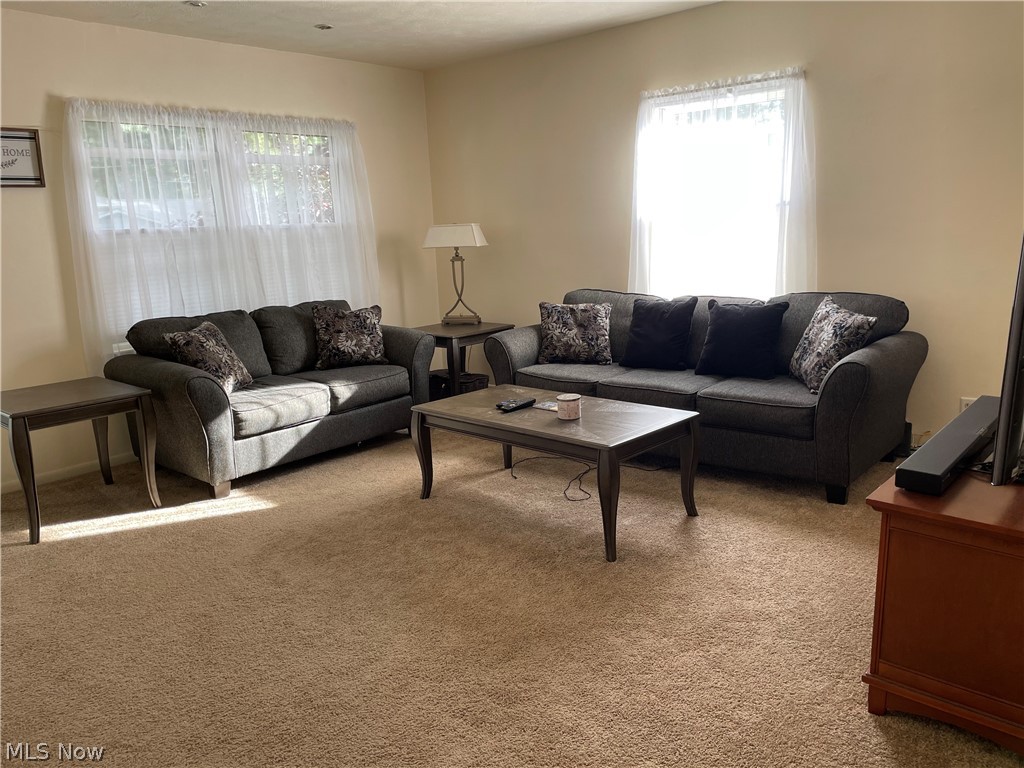 206 Overlook Road Painesville, OH 44077 - Photo 4 of 30 Gallery Image 4