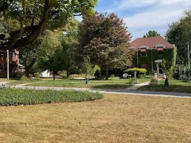 a view of a yard with large trees