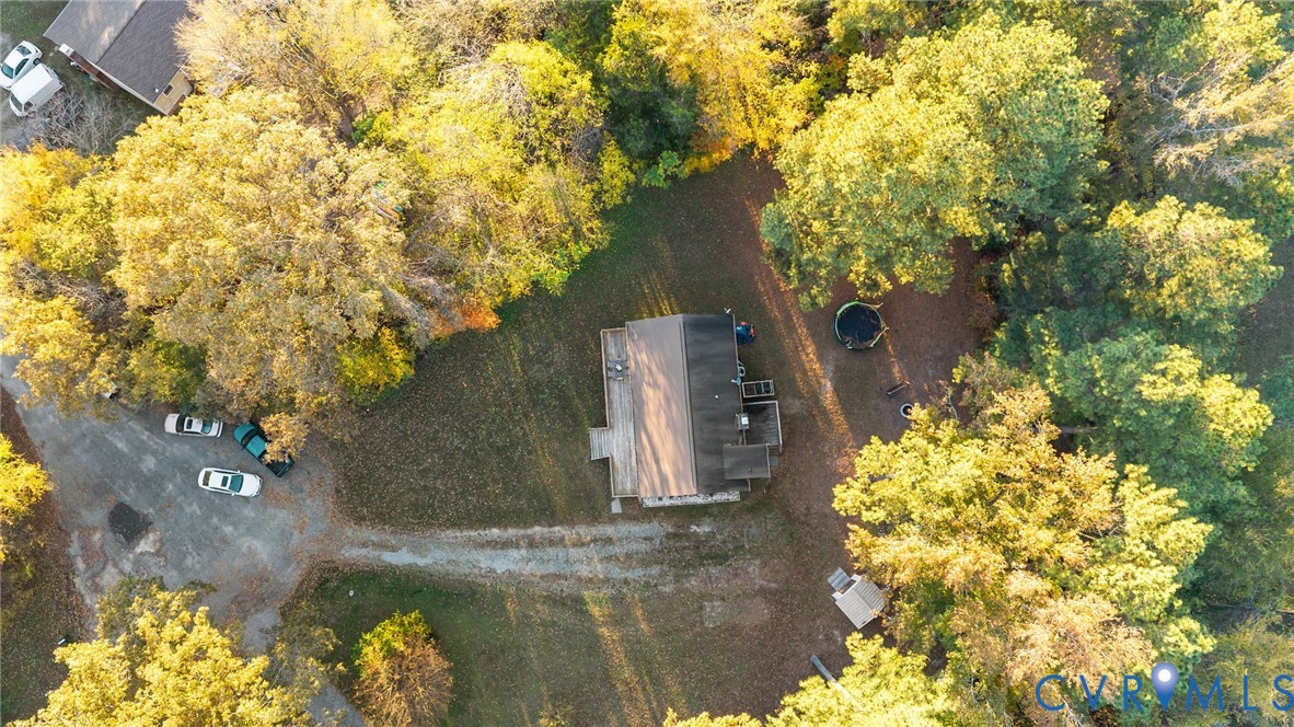 37 La Mae Court Aylett, VA 23009 - Photo 35 of 36 a view of a yard with plants and large trees