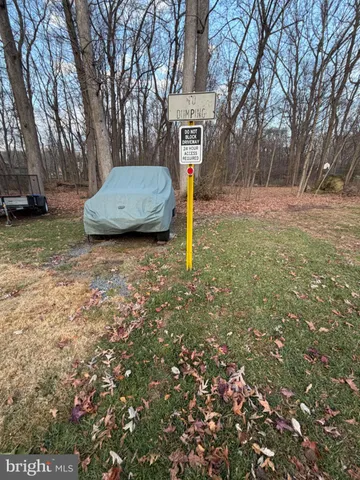 a view of a backyard with large trees