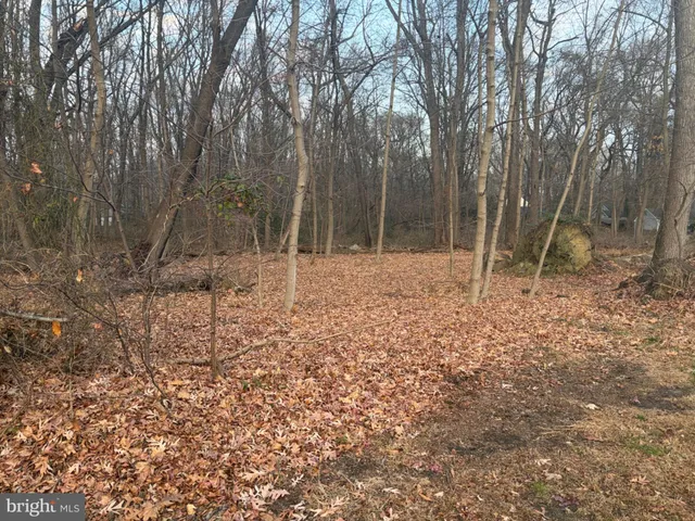 a backyard of a house with lots of plants and large trees