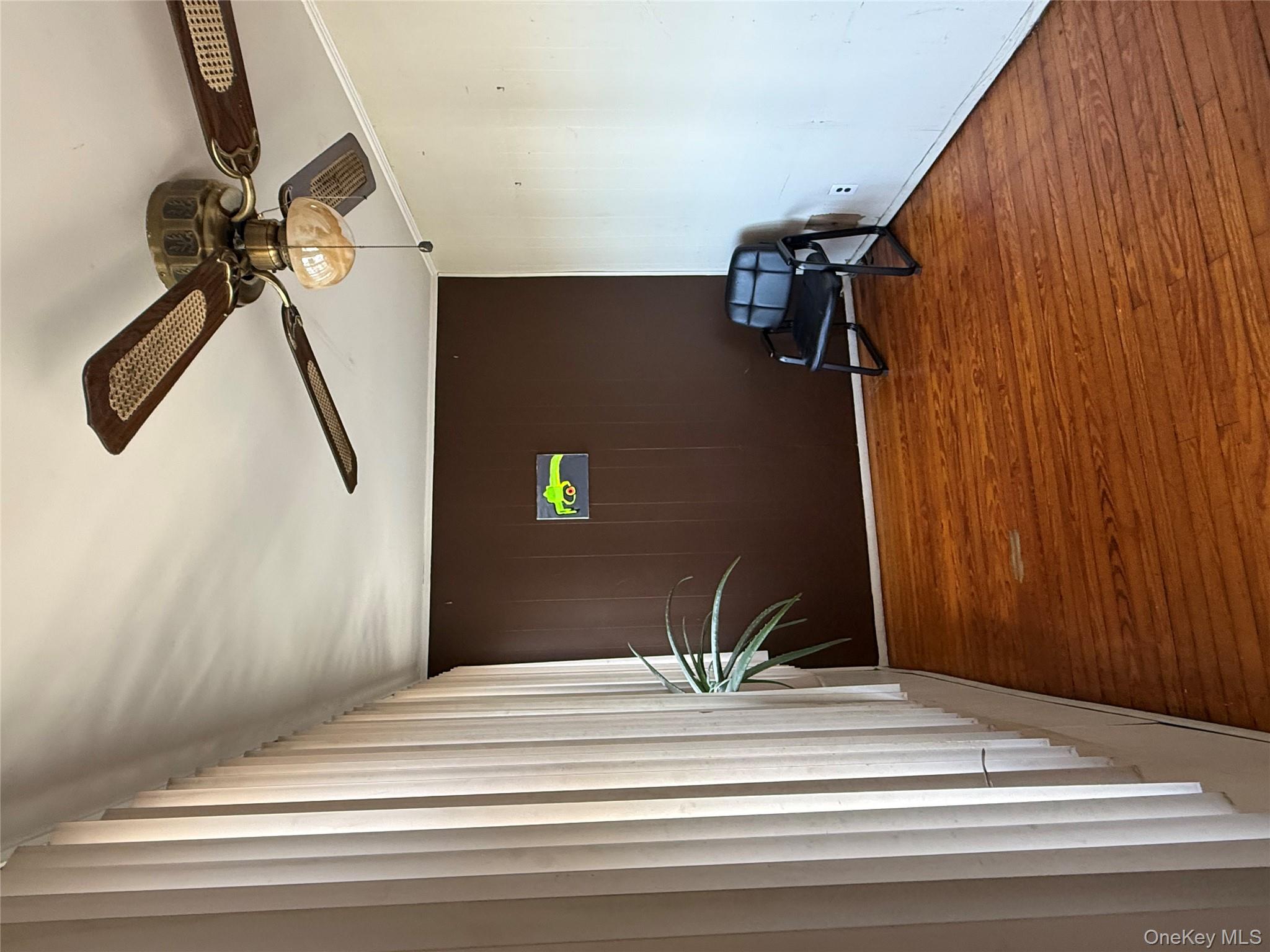 53 Dewitt Street Valley Stream, NY 11580 - Photo 13 of 26