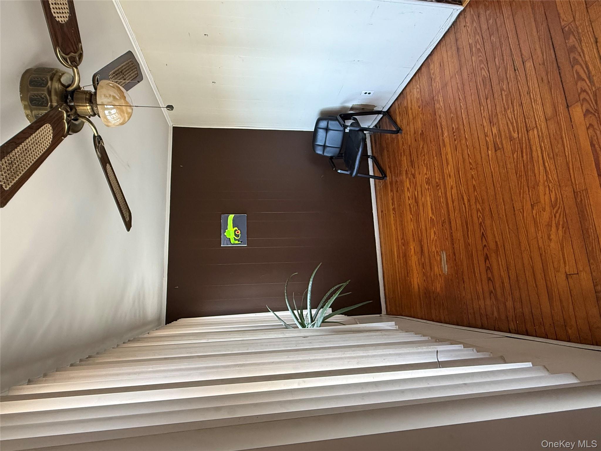 53 Dewitt Street Valley Stream, NY 11580 - Photo 14 of 26