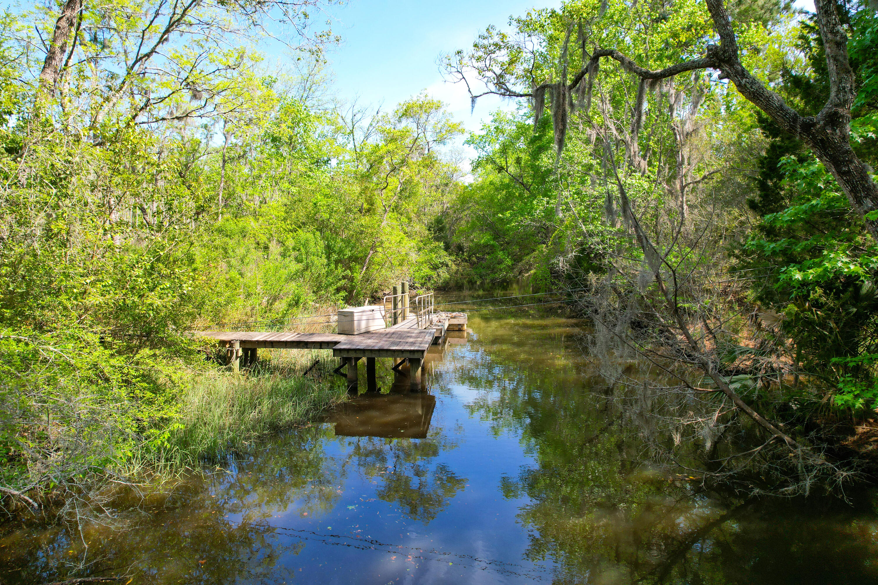 3195 Old Pond Road Johns Island, SC 29455 - Photo 25 of 75 3195 Old Pond -Tidalcreekphoto- (24)