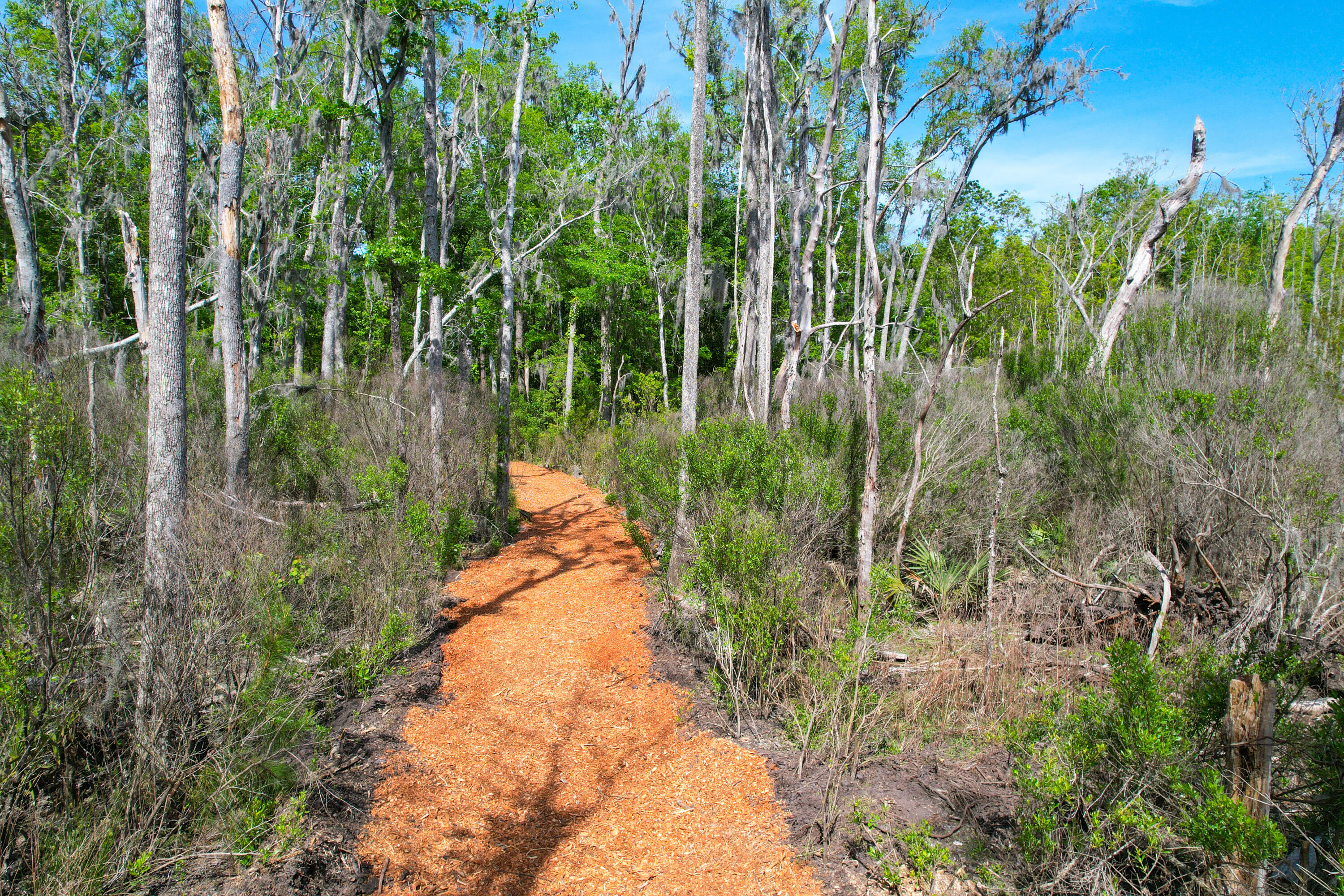 3195 Old Pond Road Johns Island, SC 29455 - Photo 29 of 75 3195 Old Pond -Tidalcreekphoto- (29)