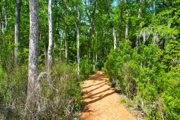 $679,000 | 3195 Old Pond Road, Johns Island, SC 29455