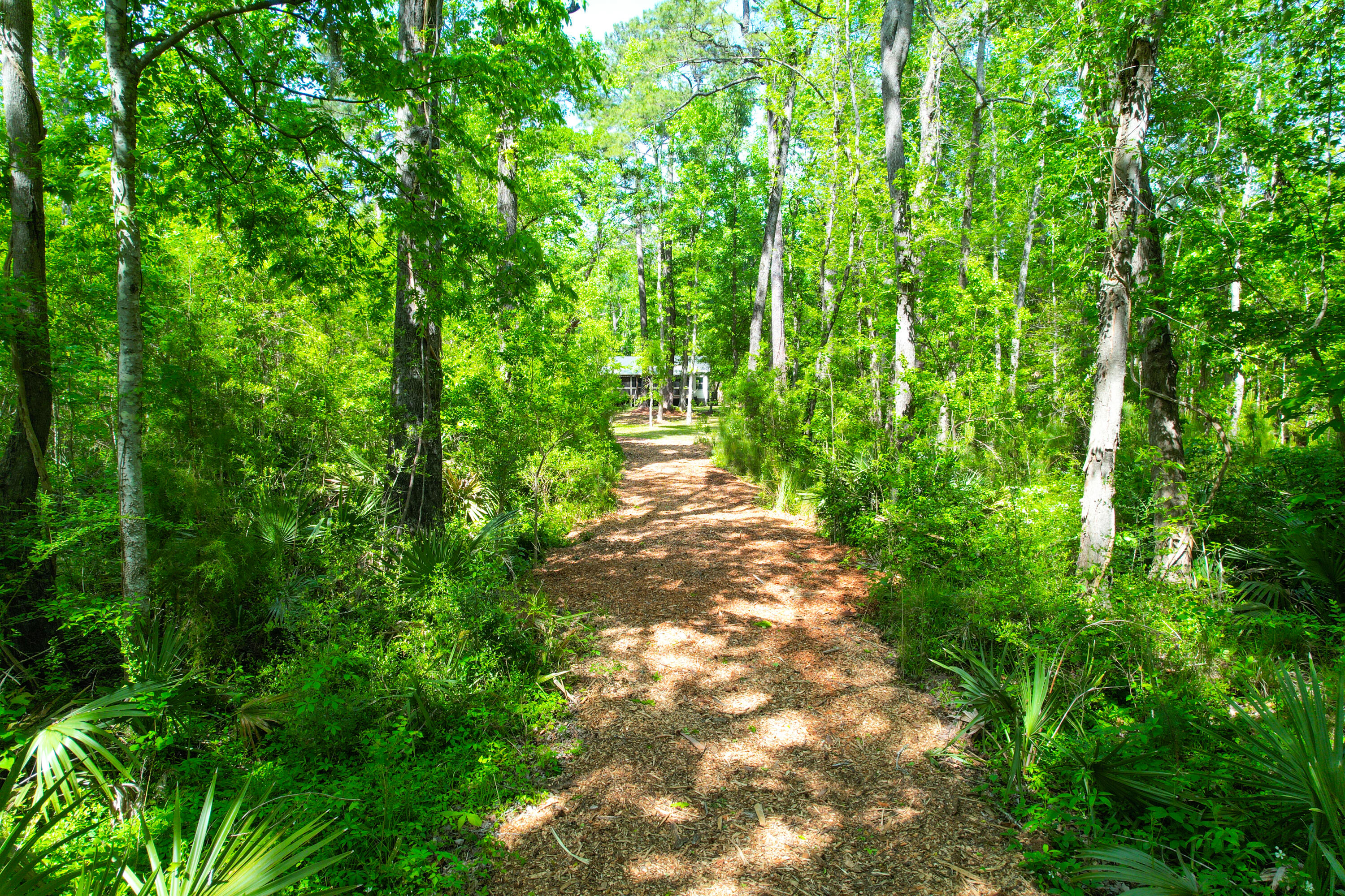 3195 Old Pond Road Johns Island, SC 29455 - Photo 32 of 75 3195 Old Pond -Tidalcreekphoto- (32)