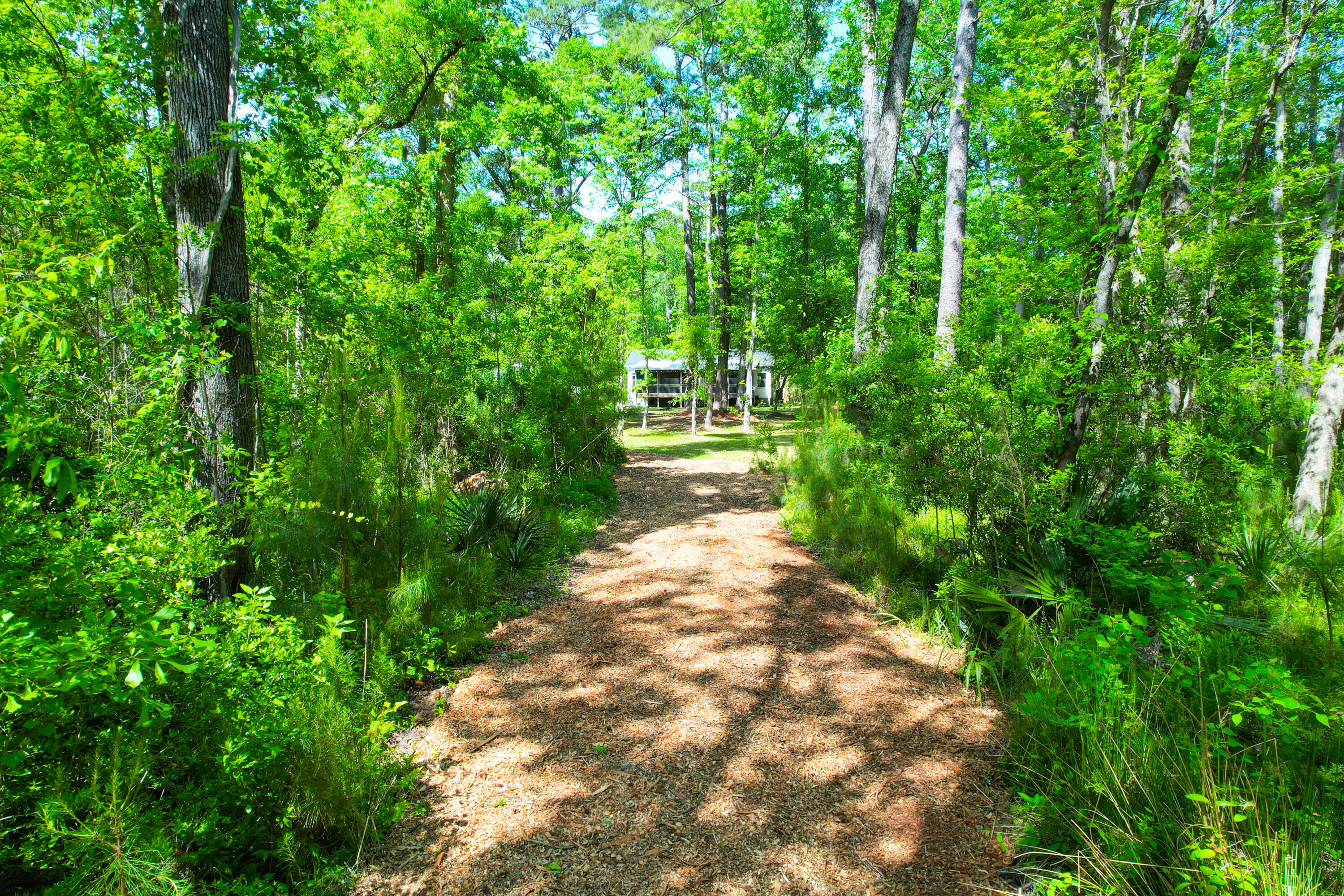3195 Old Pond Road Johns Island, SC 29455 - Photo 33 of 75 3195 Old Pond -Tidalcreekphoto- (33)