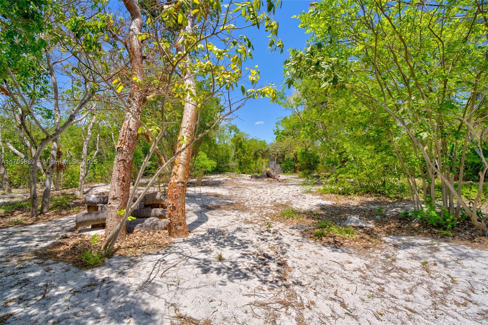 Lower Keys Big Pine Key, FL 33043 - Photo 32 of 43 a view of backyard with green space