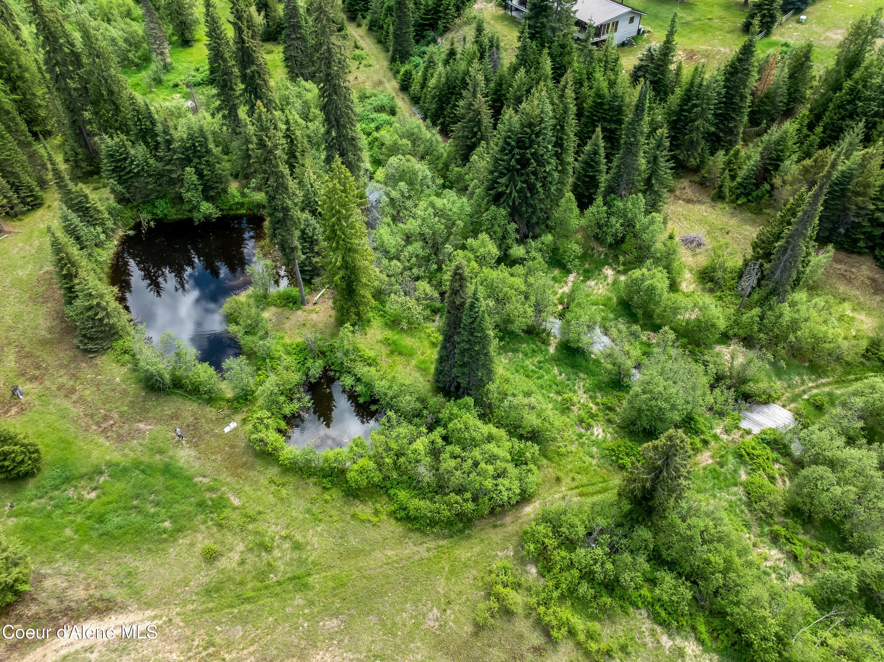 435 Shady Pines Loop Priest Lake, ID 83856 - Photo 61 of 85 Aerial 8