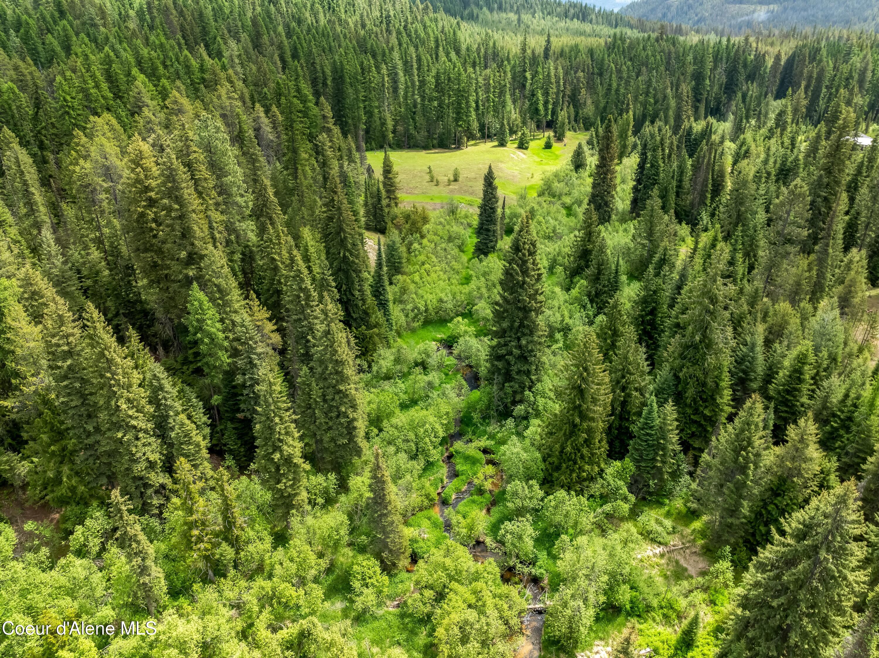 435 Shady Pines Loop Priest Lake, ID 83856 - Photo 65 of 85 Lamb Creek