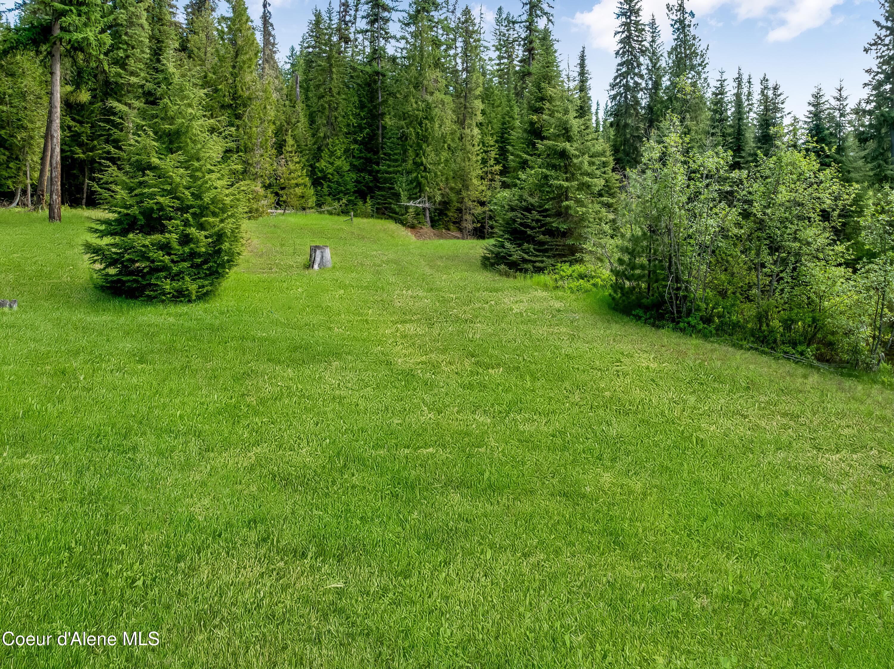 435 Shady Pines Loop Priest Lake, ID 83856 - Photo 66 of 85 Level Ground