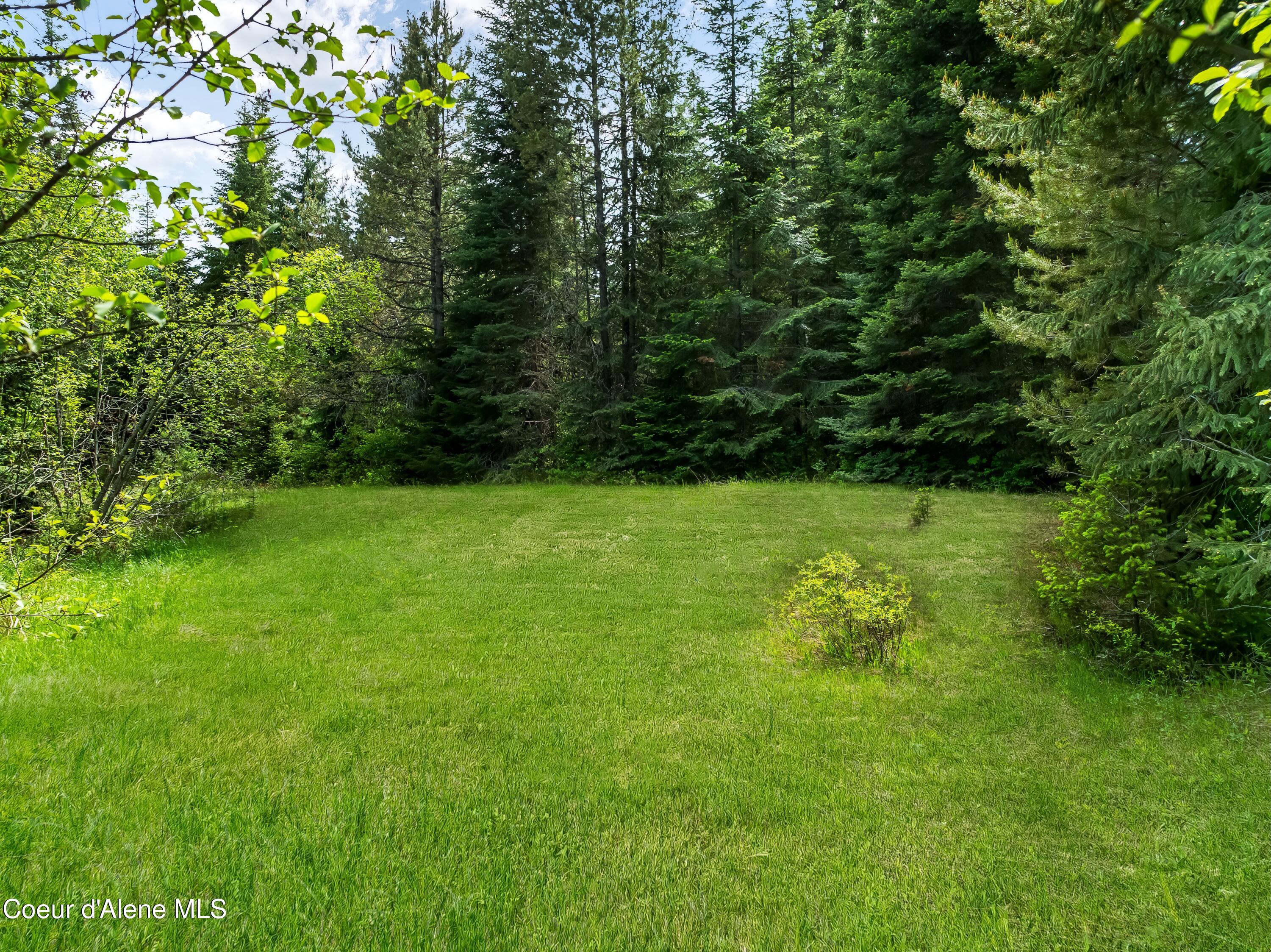 435 Shady Pines Loop Priest Lake, ID 83856 - Photo 68 of 85 Nice lawn