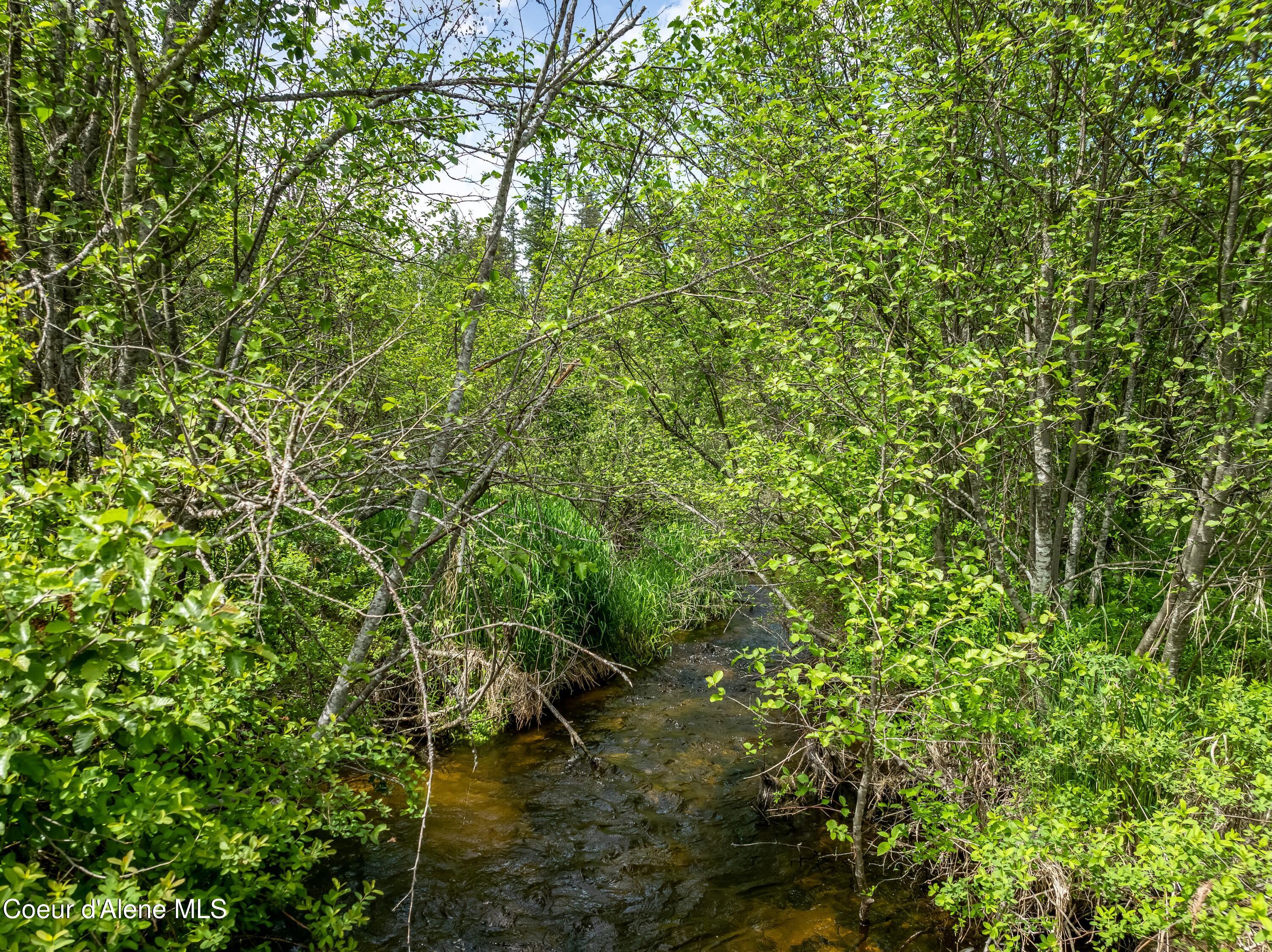 435 Shady Pines Loop Priest Lake, ID 83856 - Photo 7 of 85 Lamb Creek Frontage