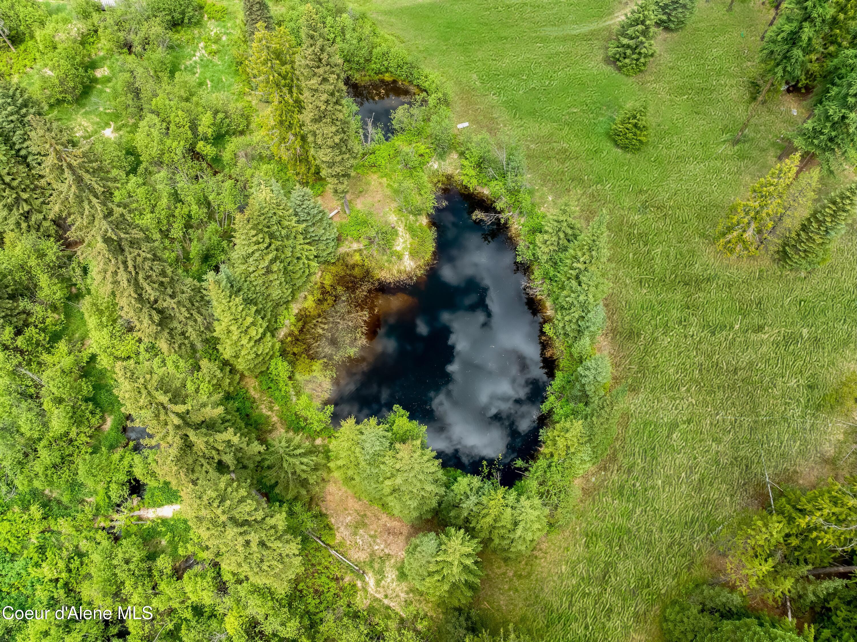 435 Shady Pines Loop Priest Lake, ID 83856 - Photo 69 of 85 Pond