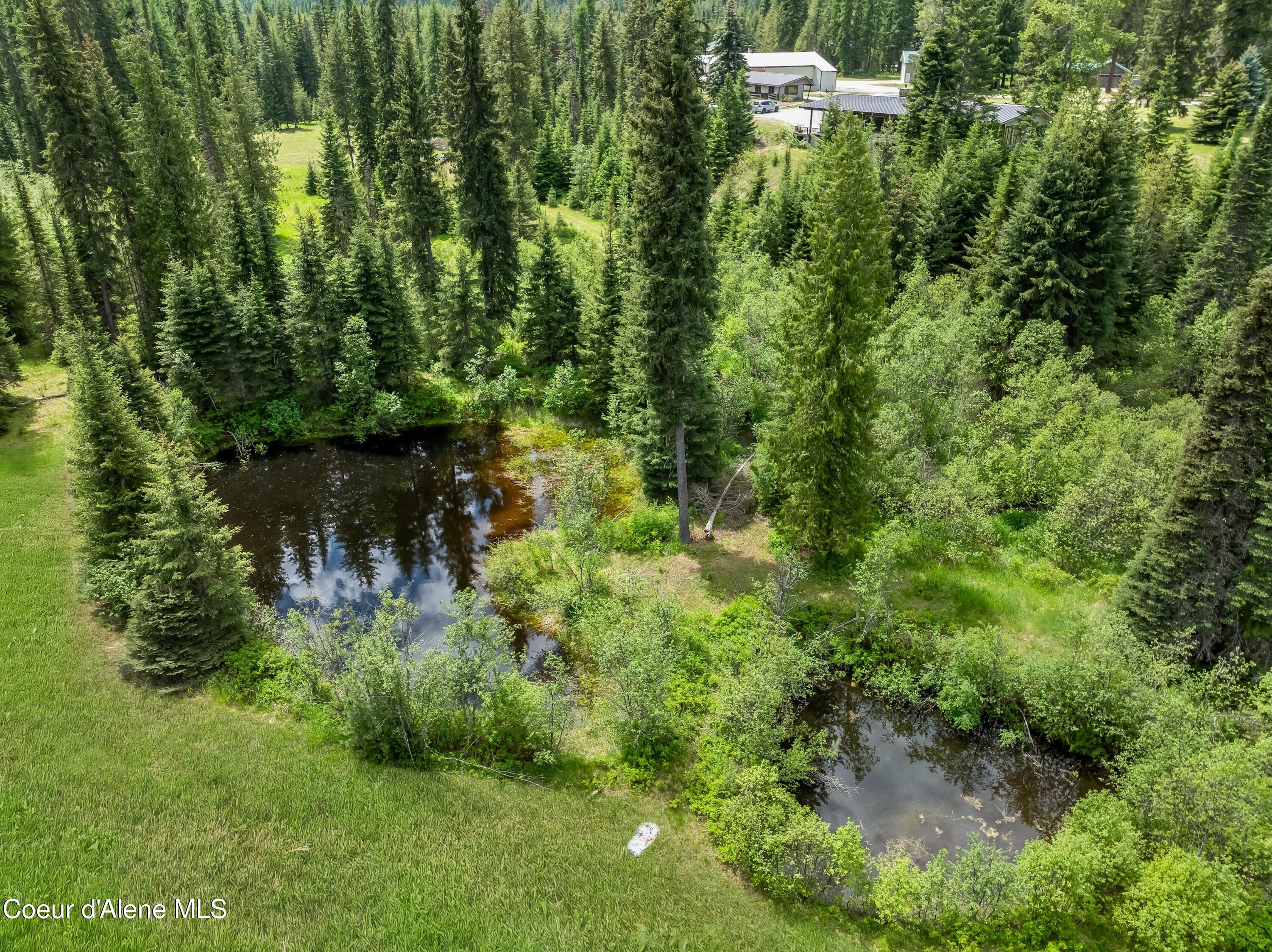 435 Shady Pines Loop Priest Lake, ID 83856 - Photo 70 of 85 Ponds
